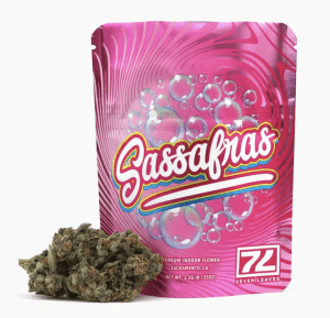 Sassafras Strain