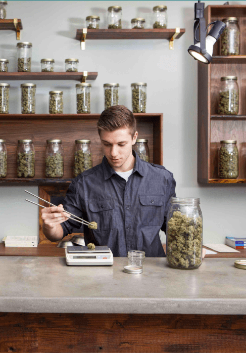 Chronic budz cannabis reception