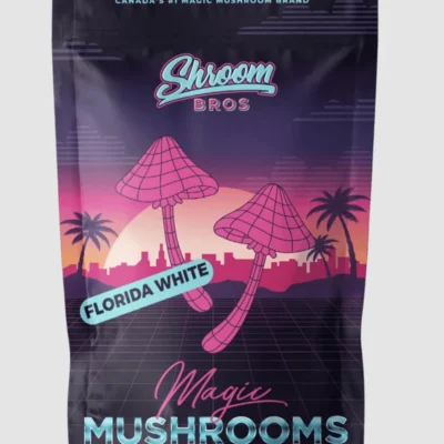 Florida white mushrooms with pale cream caps