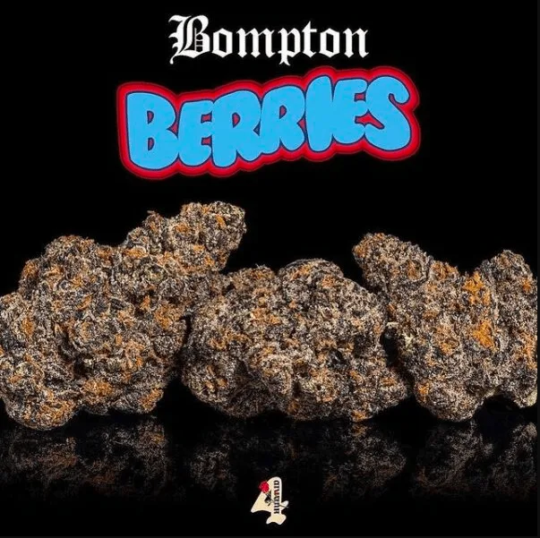 Bompton berries backpack boyz weed strain