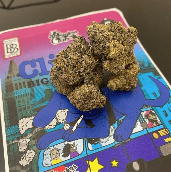 Clifford backpack boyz weed strain