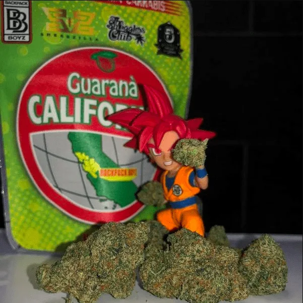Guarana California backpack boyz weed strain