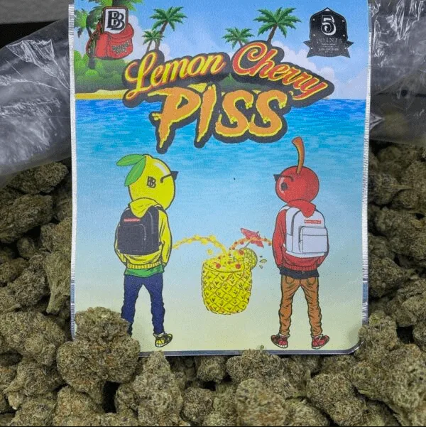 Lemon cherry piss backpack boyz weed strain