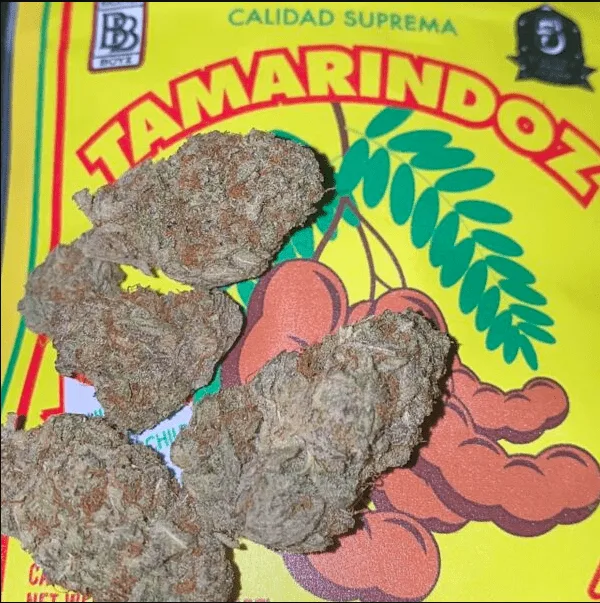 Tamarindoz Backpack Boyz Strains