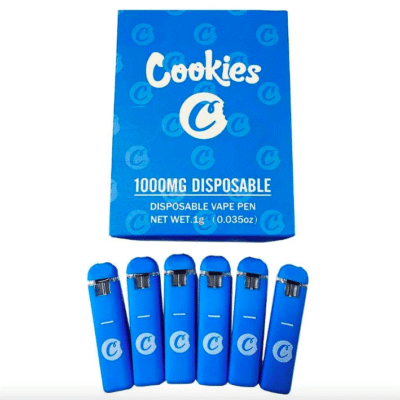 Berner Cookies Disposable