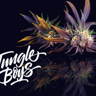 Buy Jungle boys Flowers