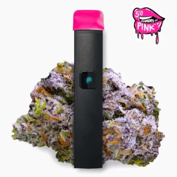 PLUGPLAY disposables 50 Shades of Pink 1G all-in-one vape pen