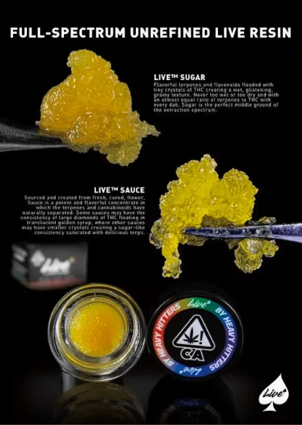 Buy Heavy Hitters