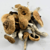 Buy Albino A+ Mushrooms Online